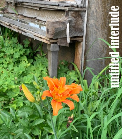 untitled interlude copy