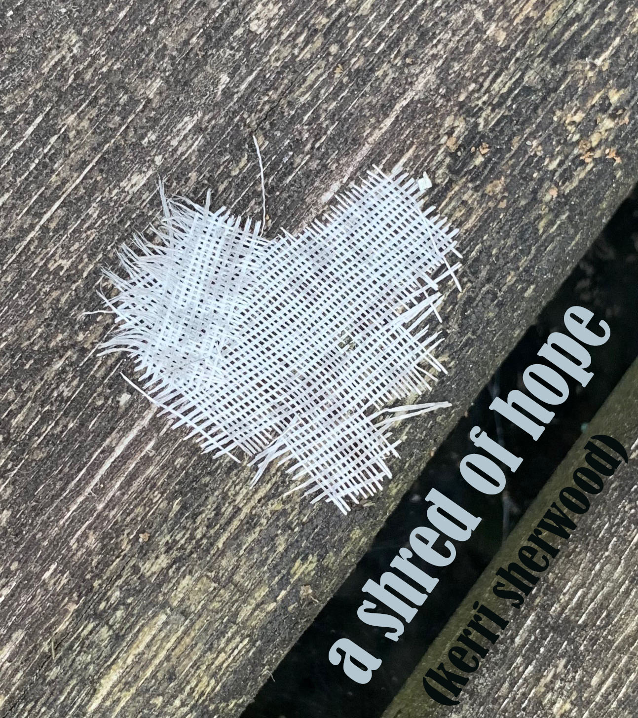 a shred of hope copy