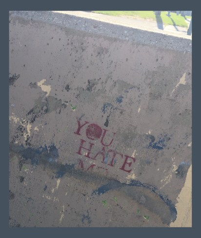 you hate me framed copy